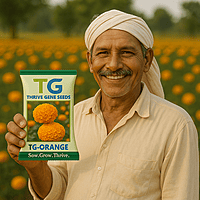Hybrid Marigold TG-Orange
