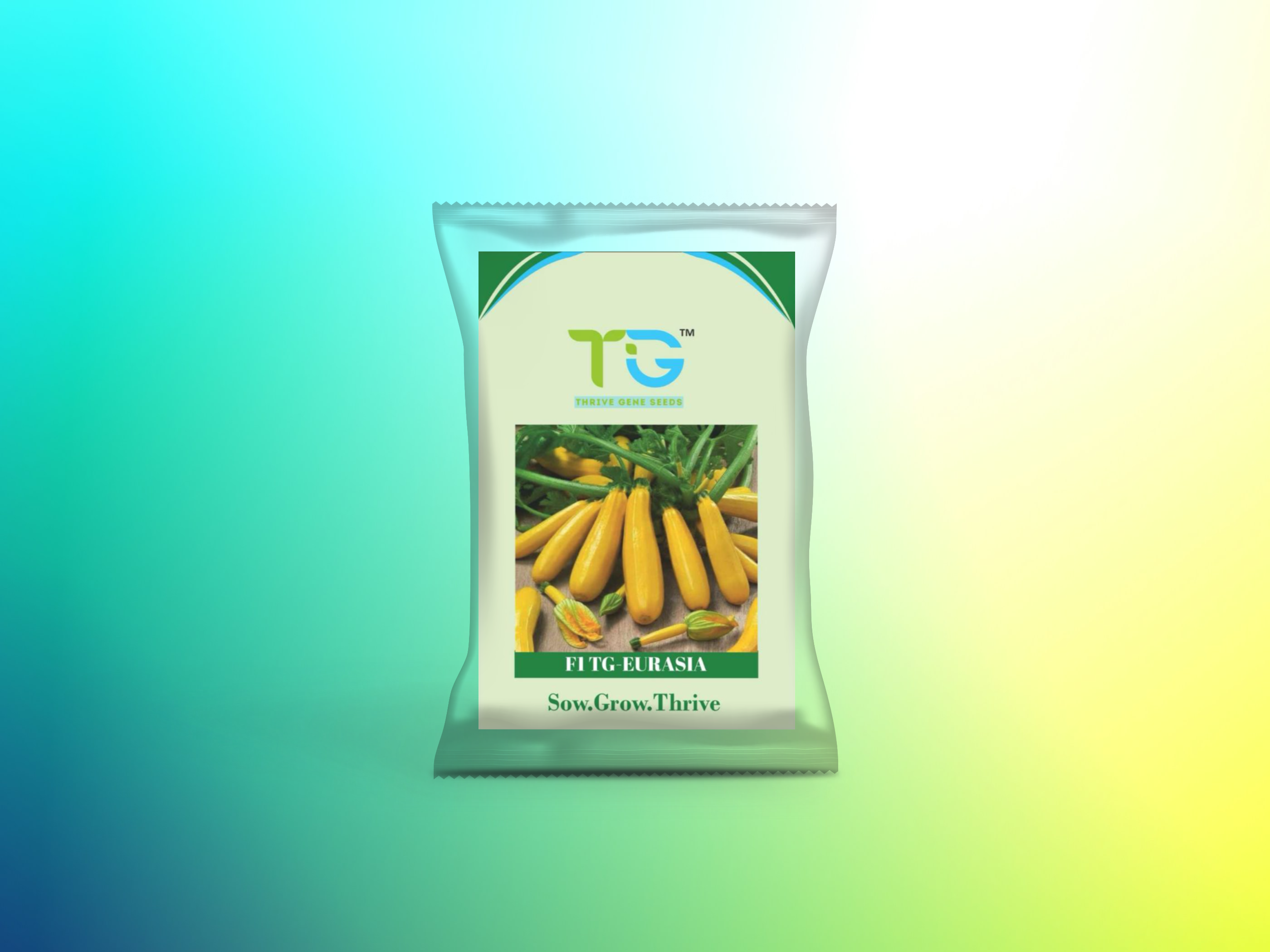 Hybrid Zucchini TG-Eurasia